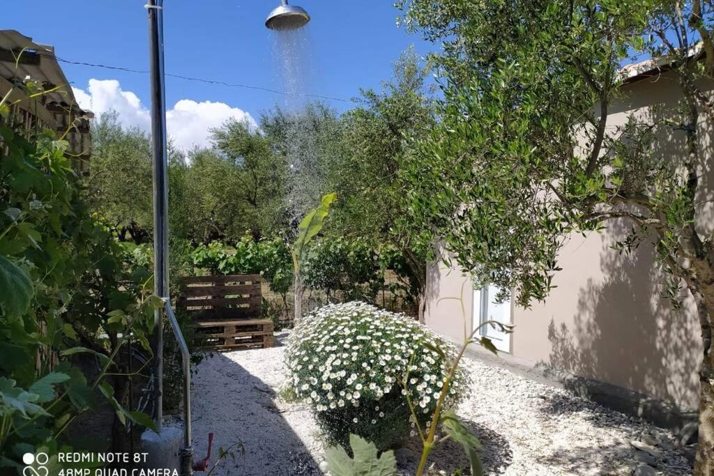 Raisin House Villa Koukounariá Dış mekan fotoğraf