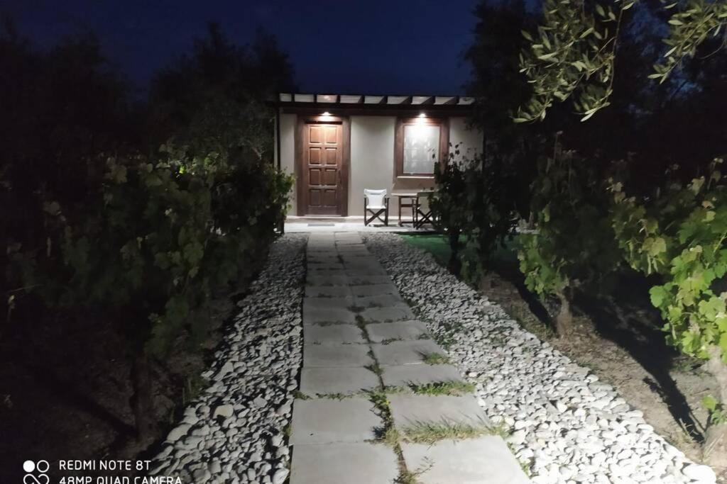 Raisin House Villa Koukounariá Dış mekan fotoğraf